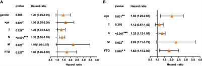 N6-Methyladenosine RNA Demethylase FTO Promotes Gastric Cancer Metastasis by Down-Regulating the m6A Methylation of ITGB1